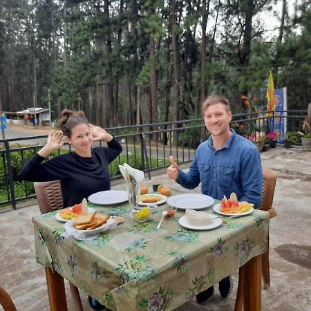 Pine Trees Homestay Nallathanniya Екстериор снимка