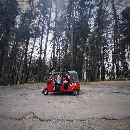 Pine Trees Homestay Nallathanniya Екстериор снимка