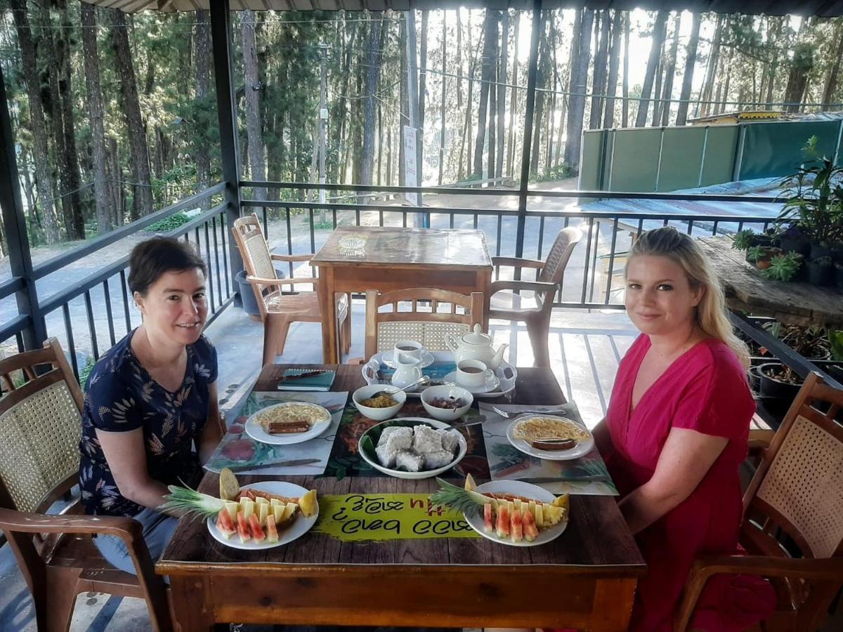 Pine Trees Homestay Nallathanniya Екстериор снимка