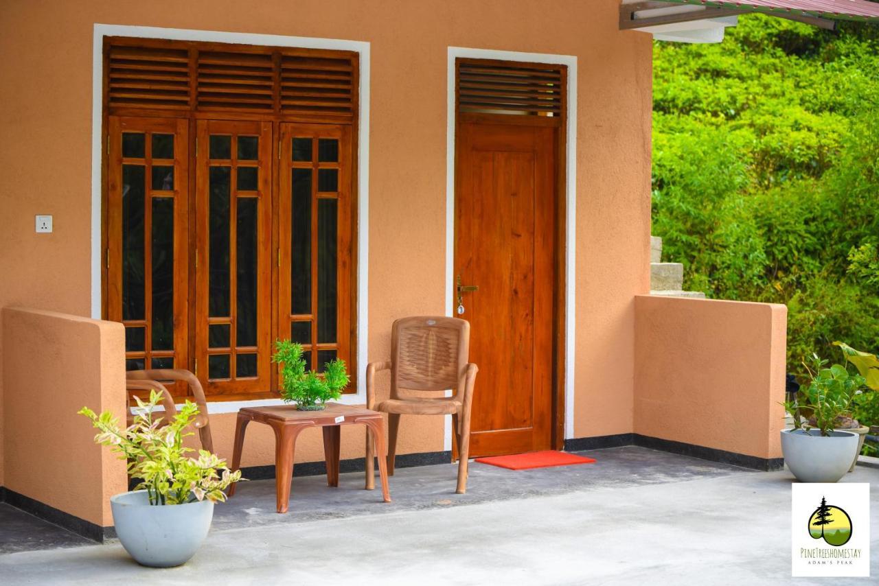 Pine Trees Homestay Nallathanniya Екстериор снимка