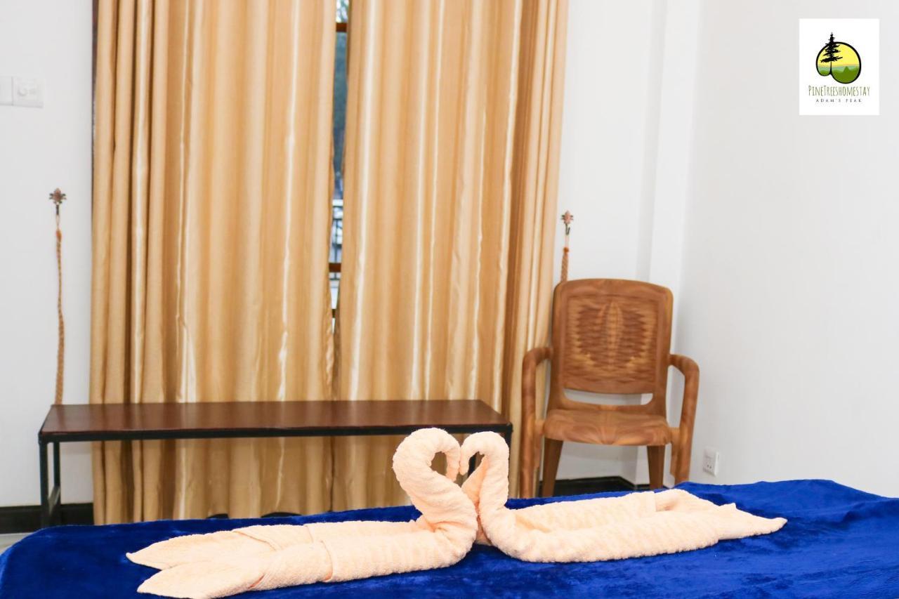 Pine Trees Homestay Nallathanniya Екстериор снимка