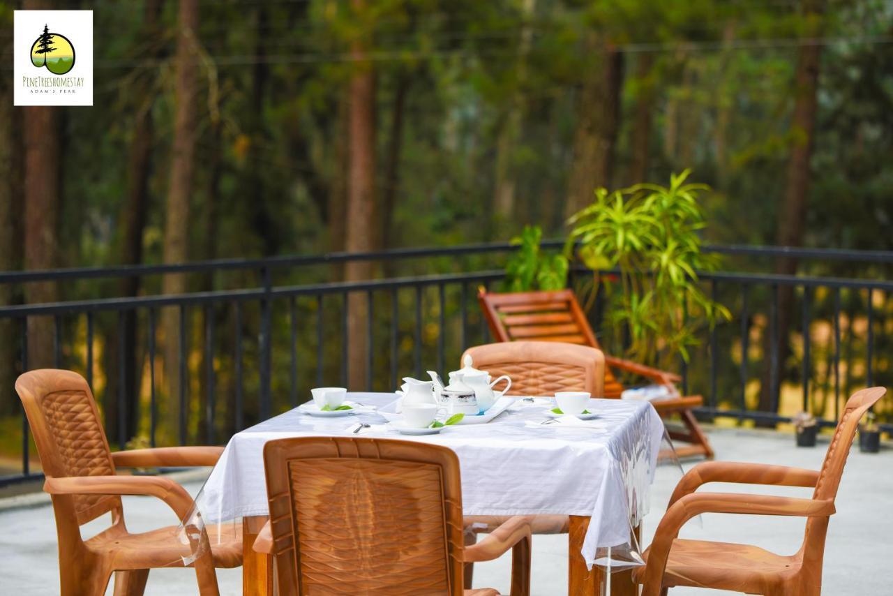 Pine Trees Homestay Nallathanniya Екстериор снимка