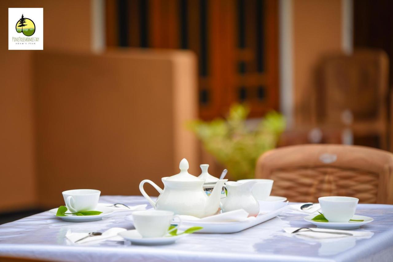 Pine Trees Homestay Nallathanniya Екстериор снимка