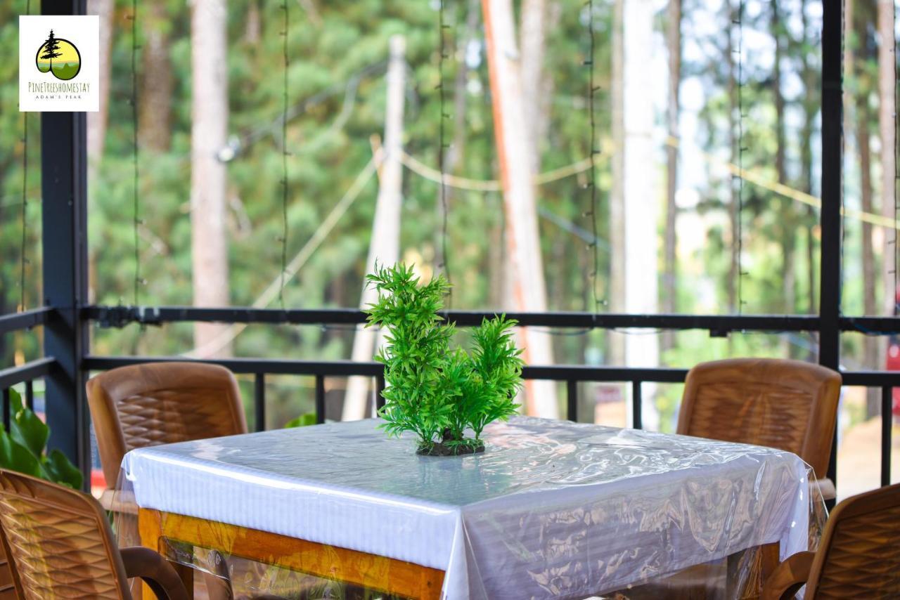 Pine Trees Homestay Nallathanniya Екстериор снимка