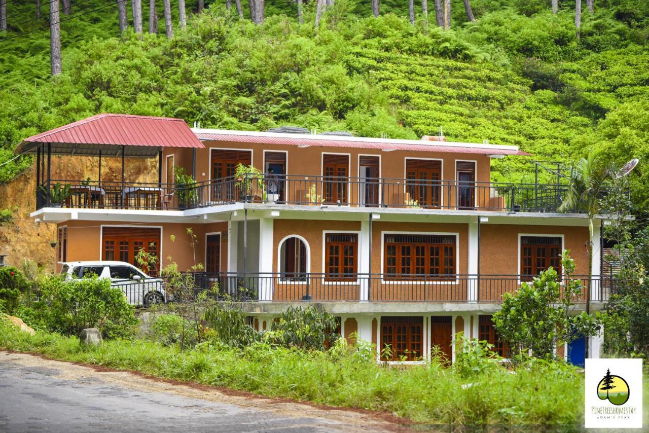 Pine Trees Homestay Nallathanniya Екстериор снимка