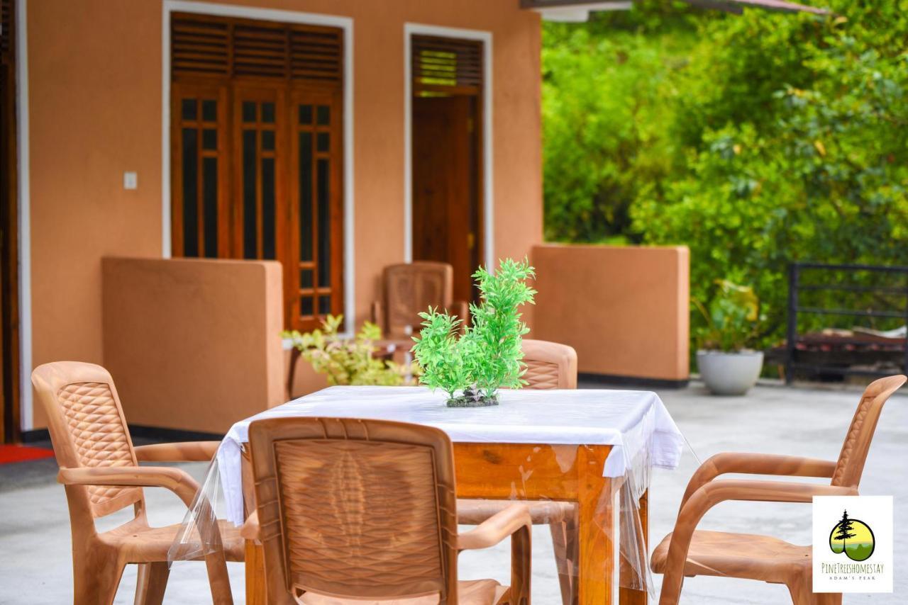 Pine Trees Homestay Nallathanniya Екстериор снимка