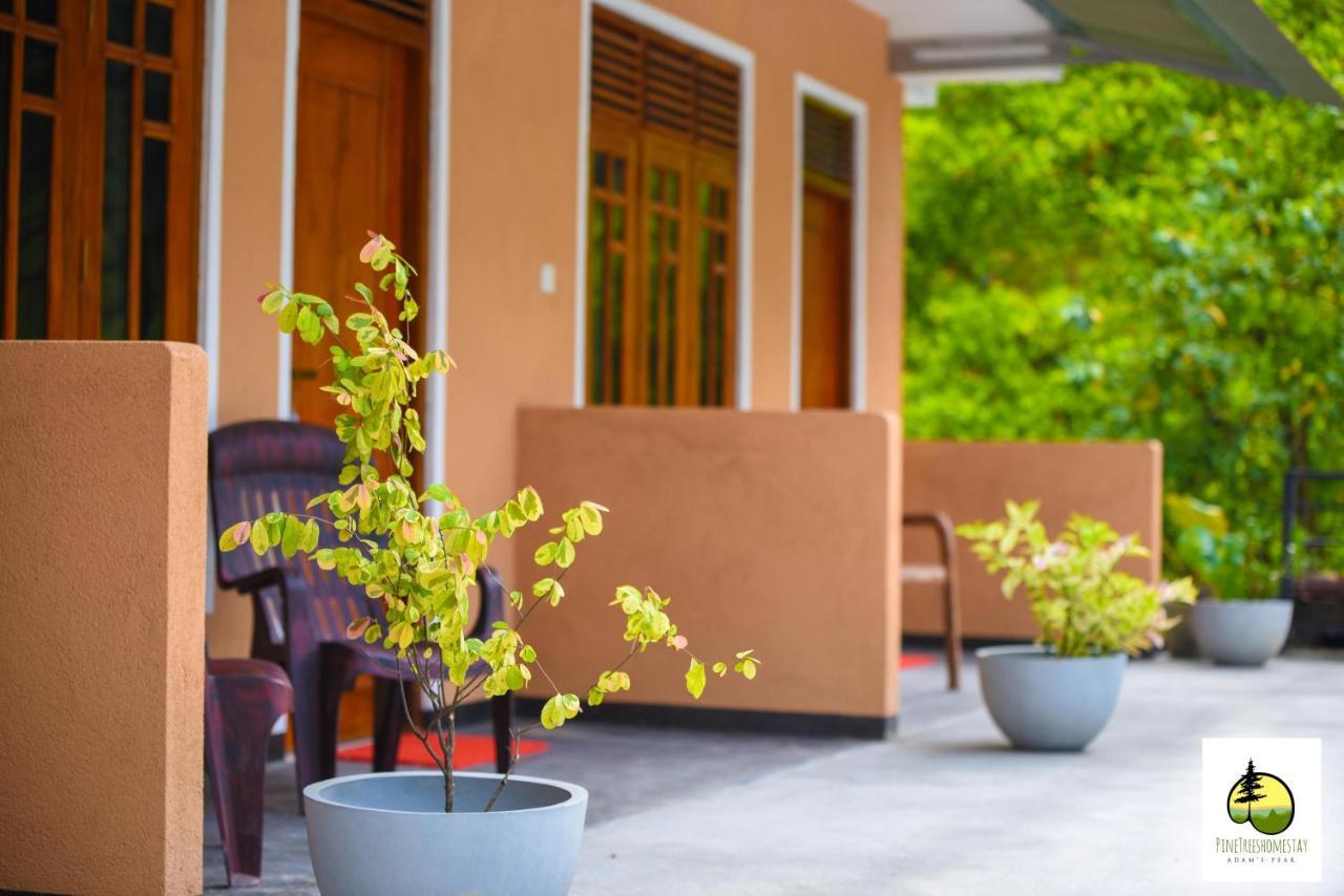 Pine Trees Homestay Nallathanniya Екстериор снимка