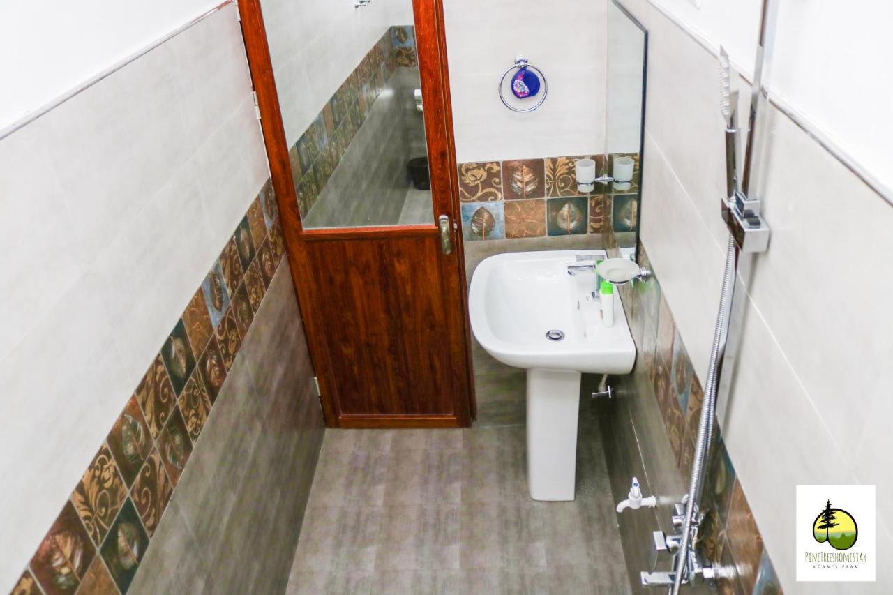 Pine Trees Homestay Nallathanniya Екстериор снимка
