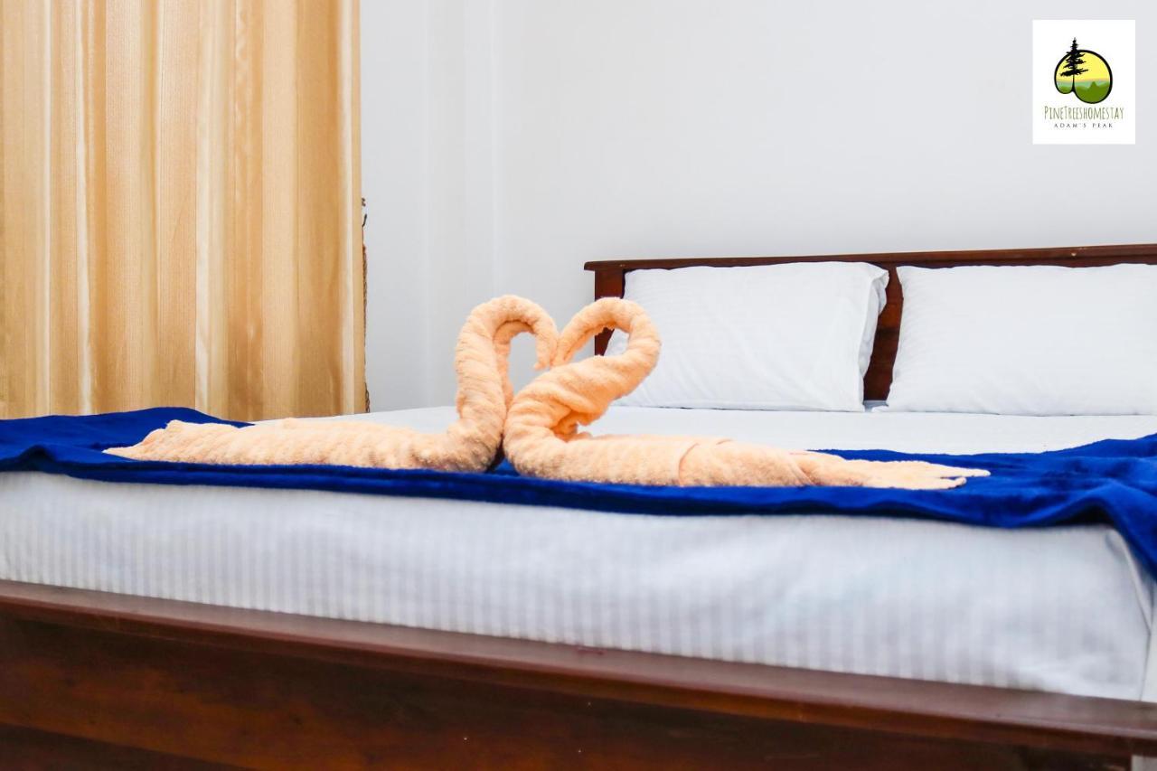 Pine Trees Homestay Nallathanniya Екстериор снимка