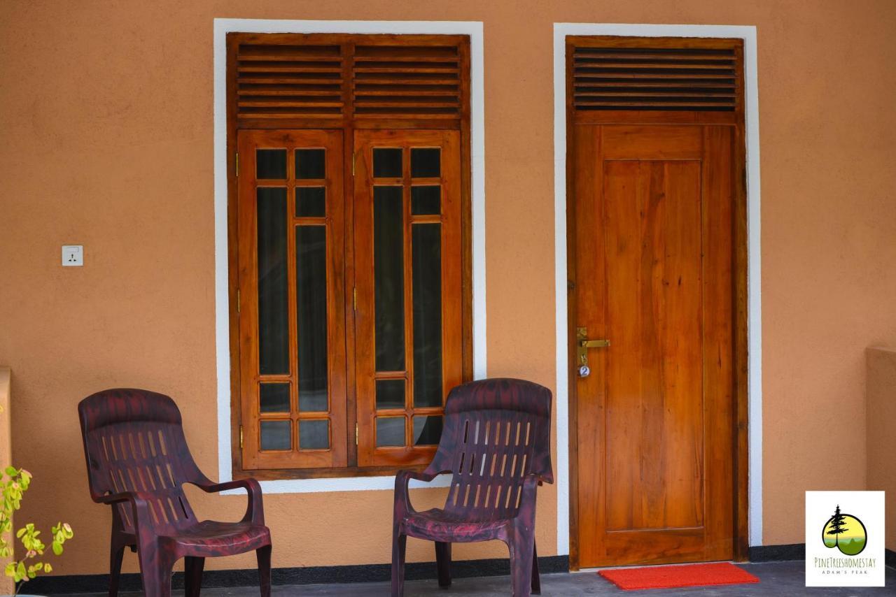 Pine Trees Homestay Nallathanniya Екстериор снимка