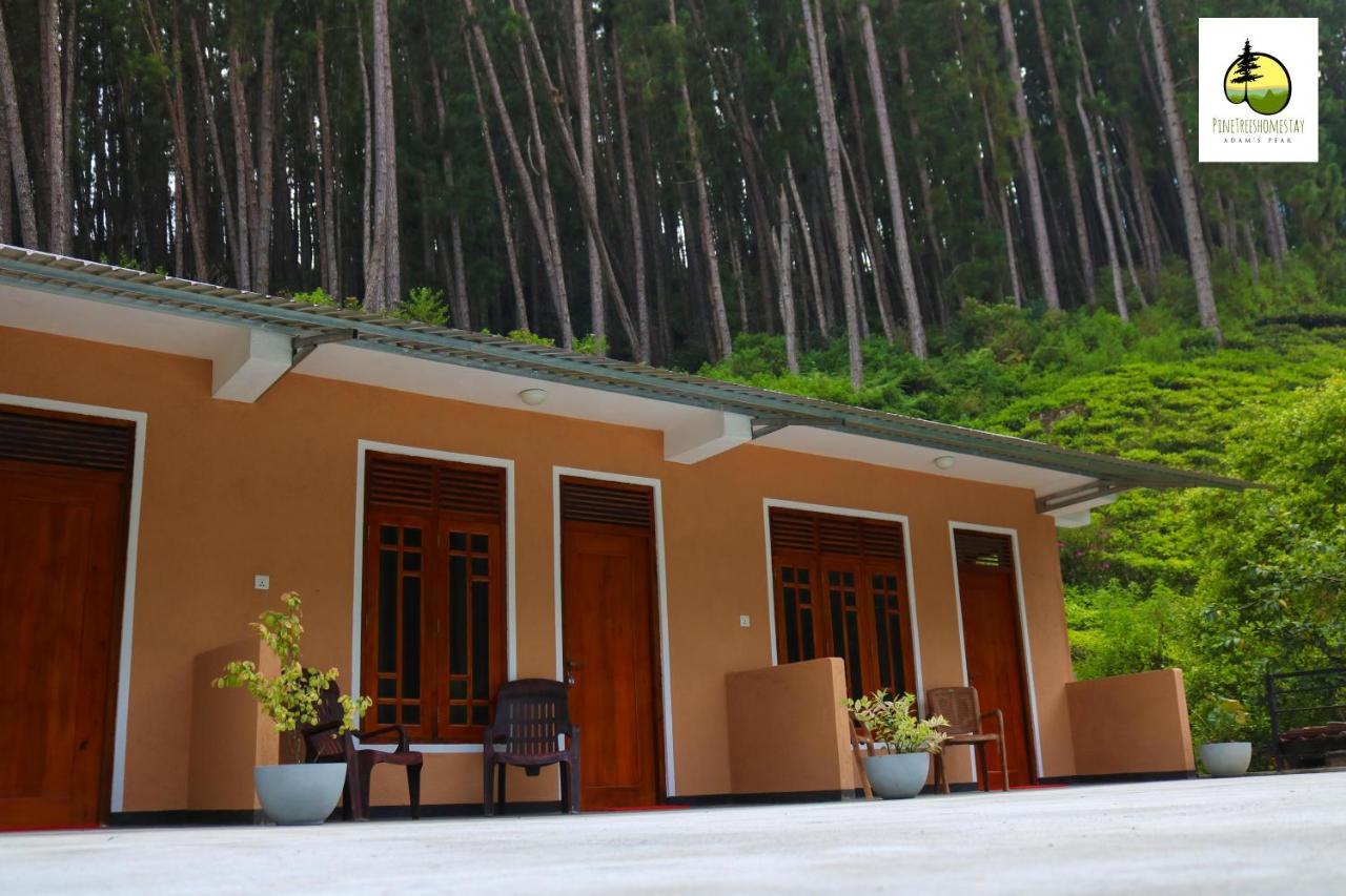 Pine Trees Homestay Nallathanniya Екстериор снимка