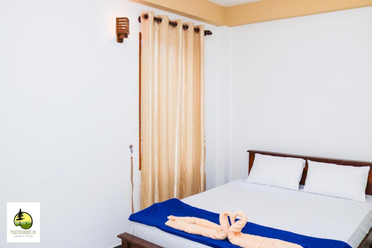 Pine Trees Homestay Nallathanniya Екстериор снимка