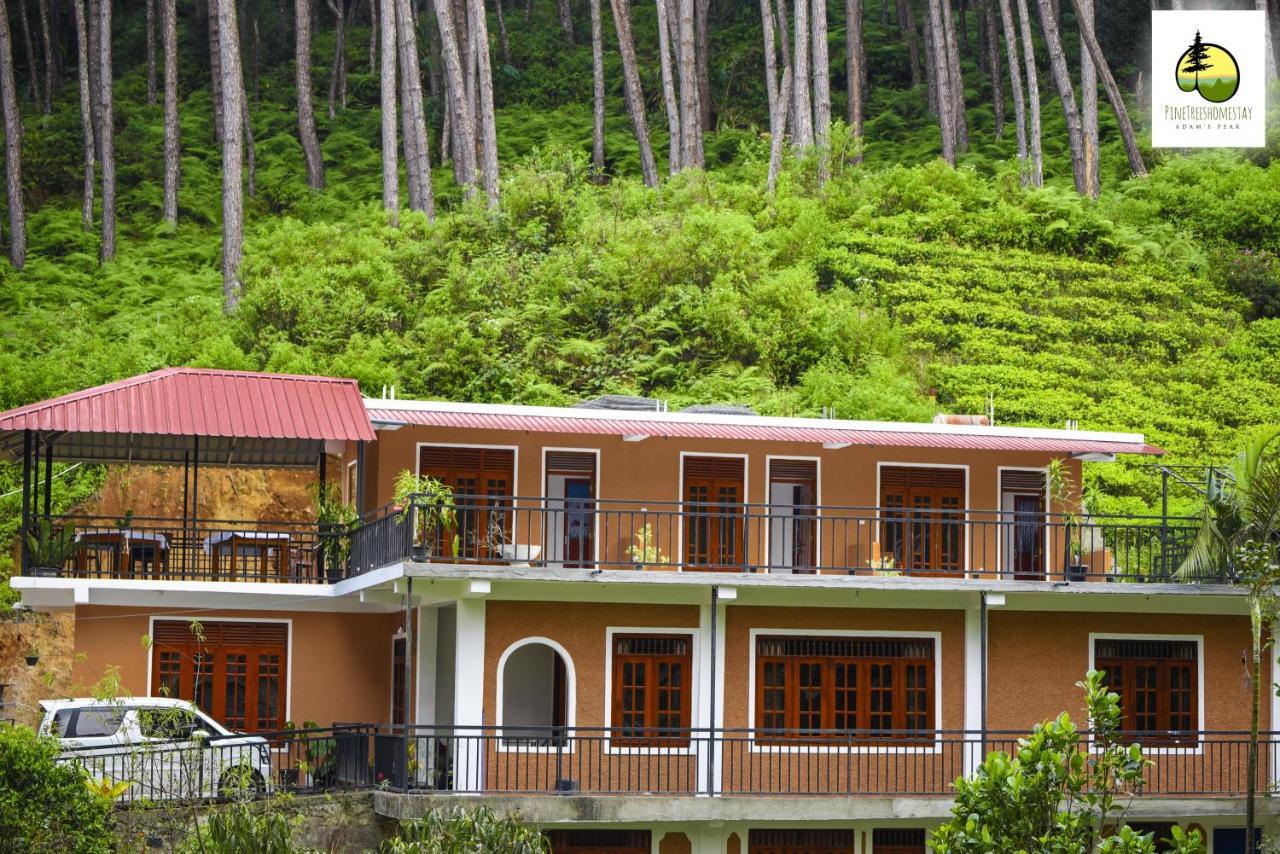 Pine Trees Homestay Nallathanniya Екстериор снимка