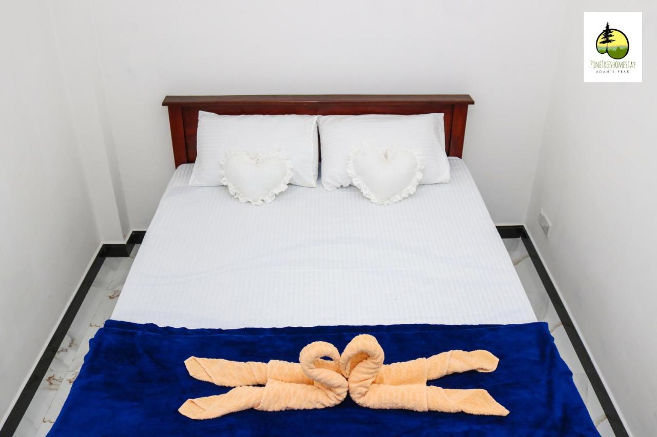 Pine Trees Homestay Nallathanniya Екстериор снимка