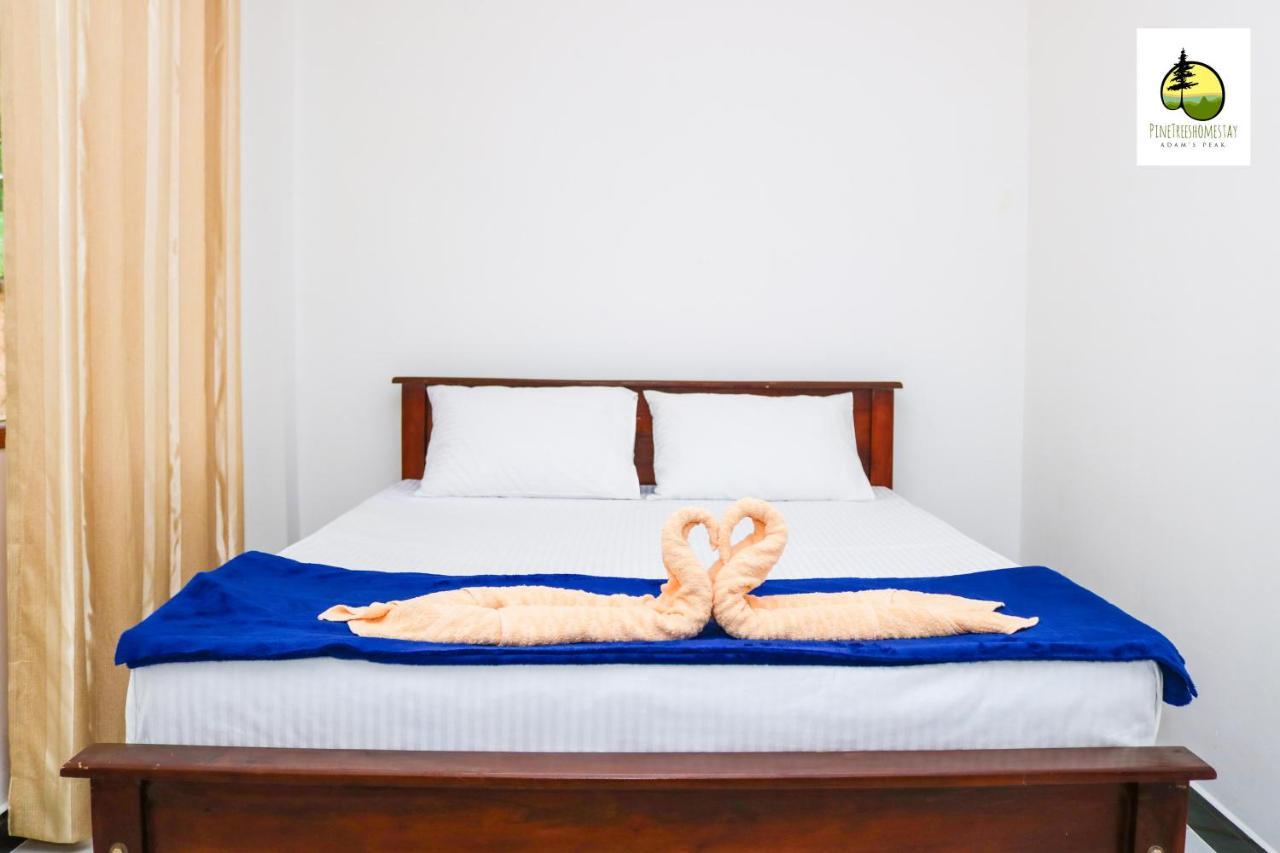 Pine Trees Homestay Nallathanniya Екстериор снимка