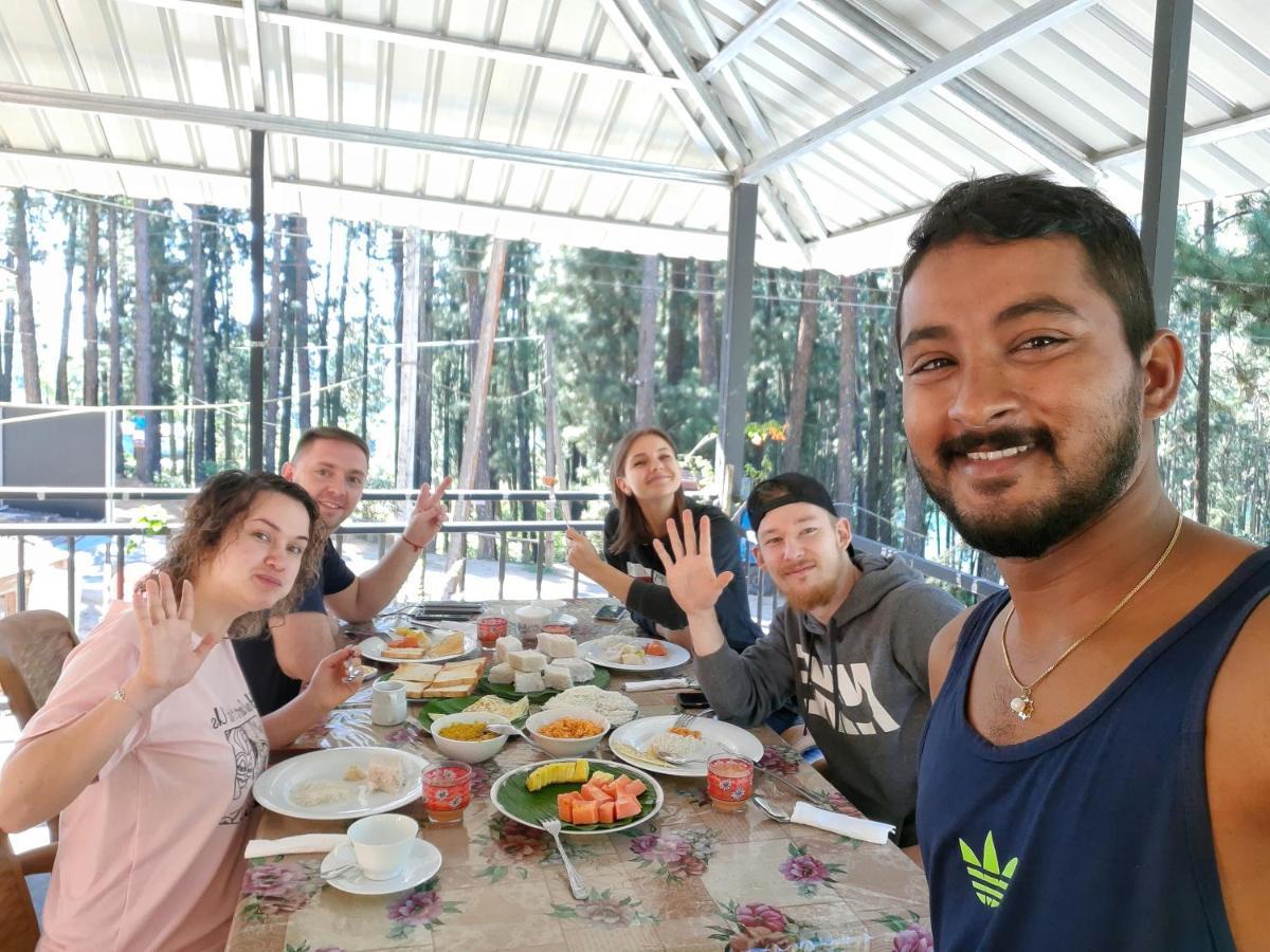 Pine Trees Homestay Nallathanniya Екстериор снимка